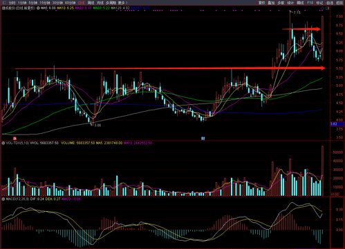 虛擬人概念再掀波瀾，捷成股份獲外資青睞，數字內容制作服務迎發展新機遇